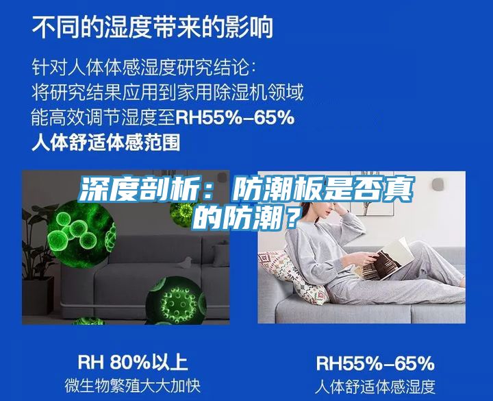 深度剖析：防潮板是否真的防潮？