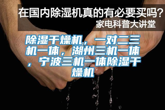 除濕幹燥機，一對二三機一體，湖州三機一體，寧波三機一體除濕幹燥機