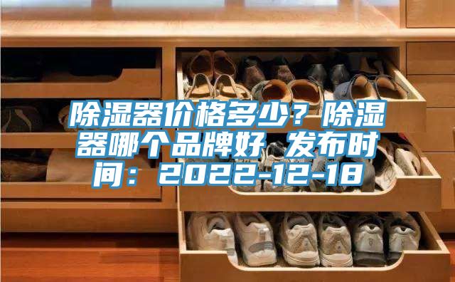 除濕器價格多少？除濕器哪個品牌好 發布時間：2022-12-18