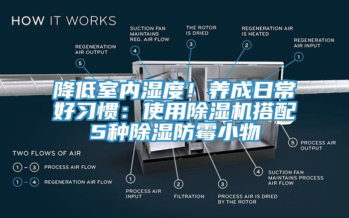 降低室內濕度！養成日常好習慣：使用杏仁视频APP成人官方污搭配5種除濕防黴小物