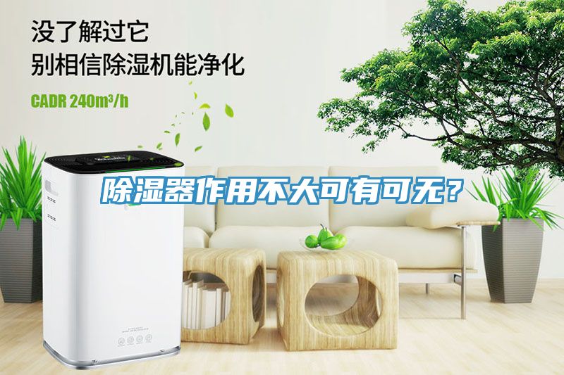 除濕器作用不大可有可無？