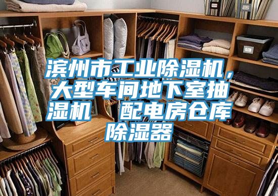 濱州市工業杏仁视频APP成人官方污，大型車間地下室抽濕機  配電房倉庫除濕器