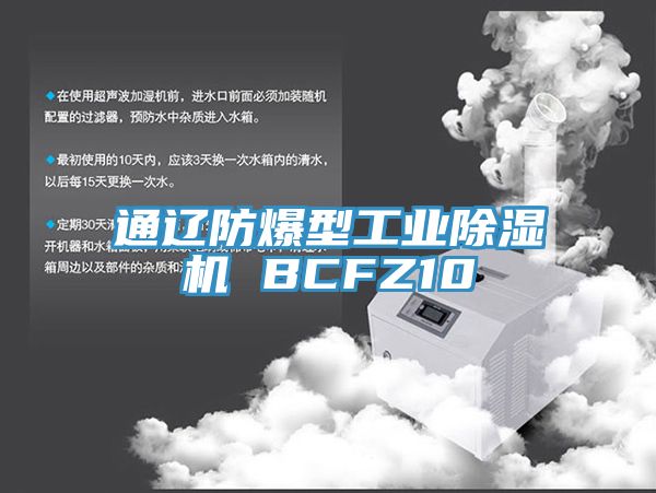 通遼防爆型工業杏仁视频APP成人官方污 BCFZ10