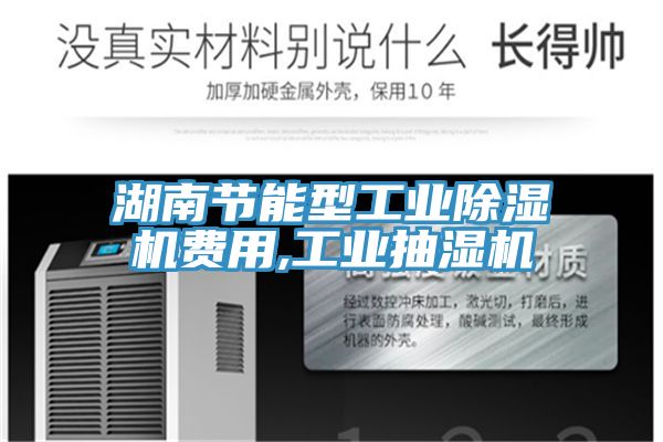 湖南節能型工業杏仁视频APP成人官方污費用,工業抽濕機