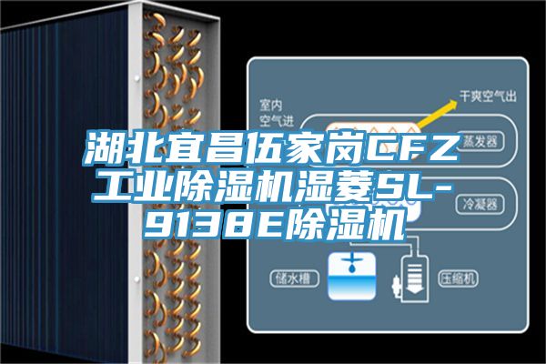 湖北宜昌伍家崗CFZ工業杏仁视频APP成人官方污濕菱SL-9138E杏仁视频APP成人官方污