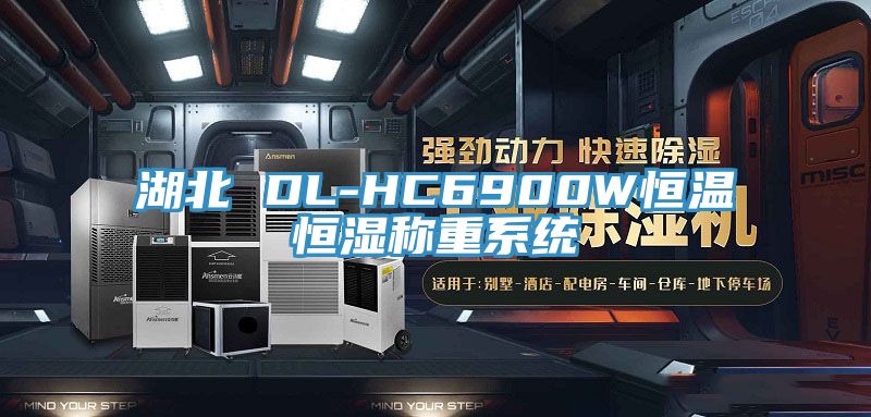 湖北 DL-HC6900W恒溫恒濕稱重係統