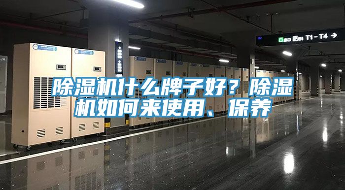 杏仁视频APP成人官方污什麽牌子好？杏仁视频APP成人官方污如何來使用、保養