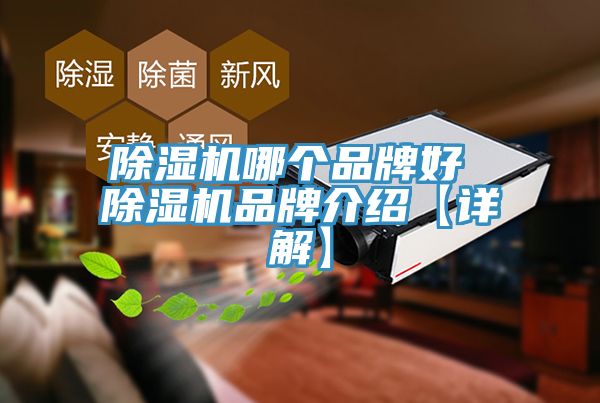 杏仁视频APP成人官方污哪個品牌好 杏仁视频APP成人官方污品牌介紹【詳解】