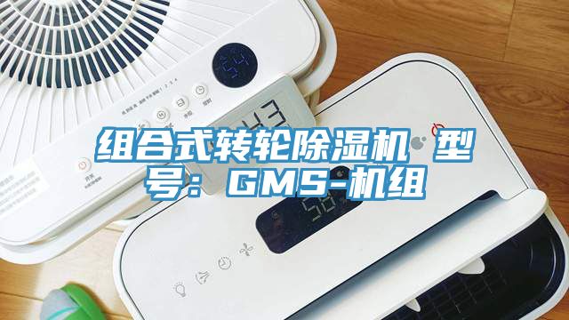 組合式轉輪杏仁视频APP成人官方污 型號：GMS-機組