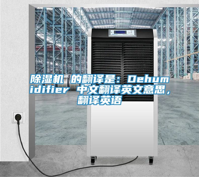 杏仁视频APP成人官方污 的翻譯是：Dehumidifier 中文翻譯英文意思，翻譯英語