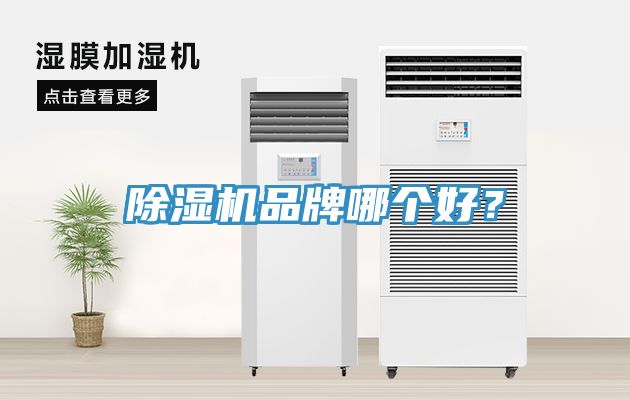 杏仁视频APP成人官方污品牌哪個好？