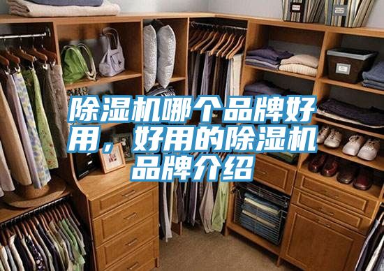 杏仁视频APP成人官方污哪個品牌好用，好用的杏仁视频APP成人官方污品牌介紹