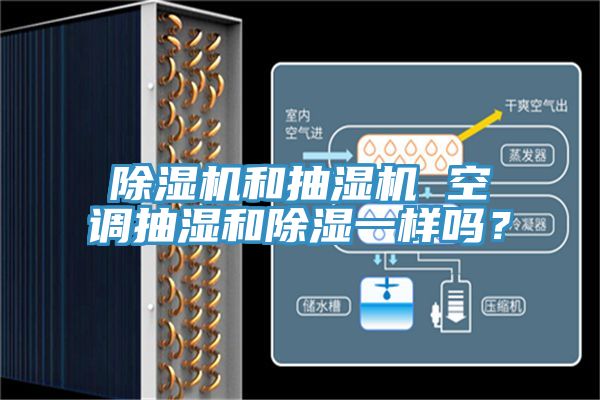 杏仁视频APP成人官方污和抽濕機 空調抽濕和除濕一樣嗎？