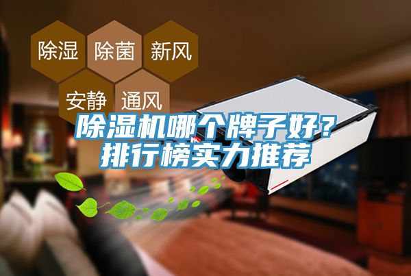 杏仁视频APP成人官方污哪個牌子好？排行榜實力推薦