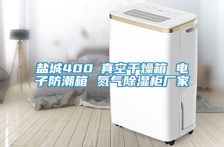 鹽城400℃真空幹燥箱 電子防潮箱 氮氣除濕櫃廠家