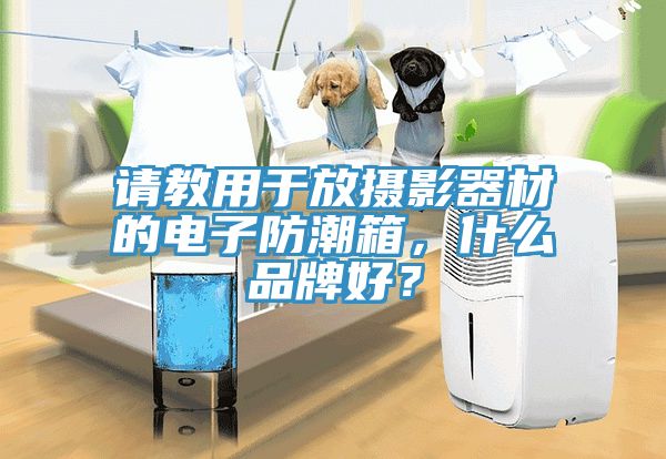 請教用於放攝影器材的電子防潮箱，什麽品牌好？