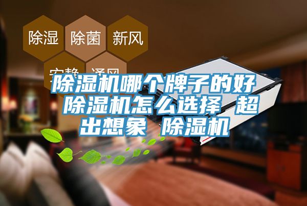 杏仁视频APP成人官方污哪個牌子的好 杏仁视频APP成人官方污怎麽選擇 超出想象 杏仁视频APP成人官方污