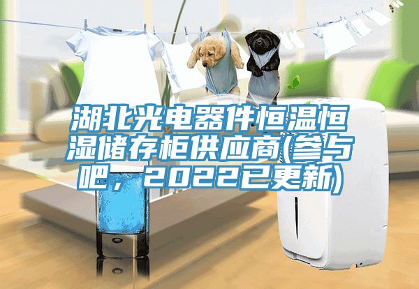 湖北光電器件恒溫恒濕儲存櫃供應商(參與吧，2022已更新)