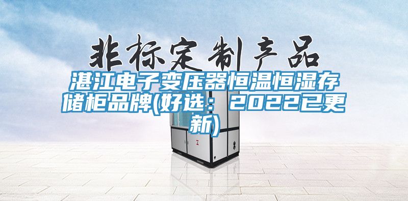 湛江電子變壓器恒溫恒濕存儲櫃品牌(好選：2022已更新)