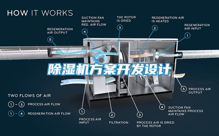 杏仁视频APP成人官方污方案開發設計