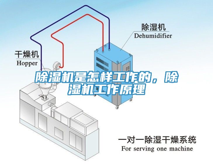 杏仁视频APP成人官方污是怎樣工作的，杏仁视频APP成人官方污工作原理