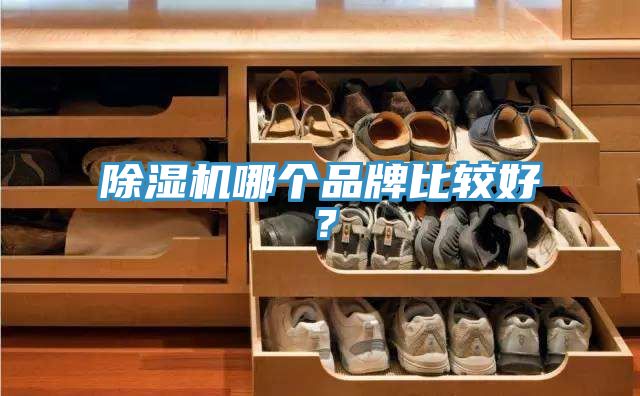 杏仁视频APP成人官方污哪個品牌比較好？