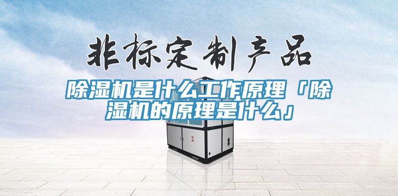 杏仁视频APP成人官方污是什麽工作原理「杏仁视频APP成人官方污的原理是什麽」