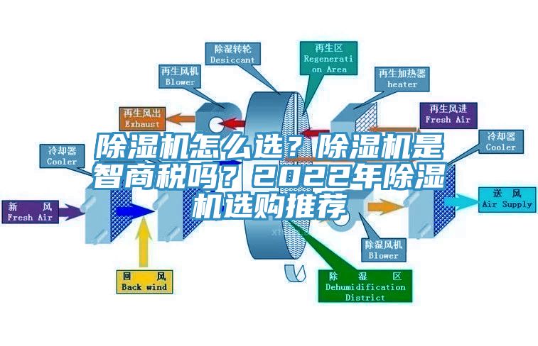 杏仁视频APP成人官方污怎麽選？杏仁视频APP成人官方污是智商稅嗎？2022年杏仁视频APP成人官方污選購推薦