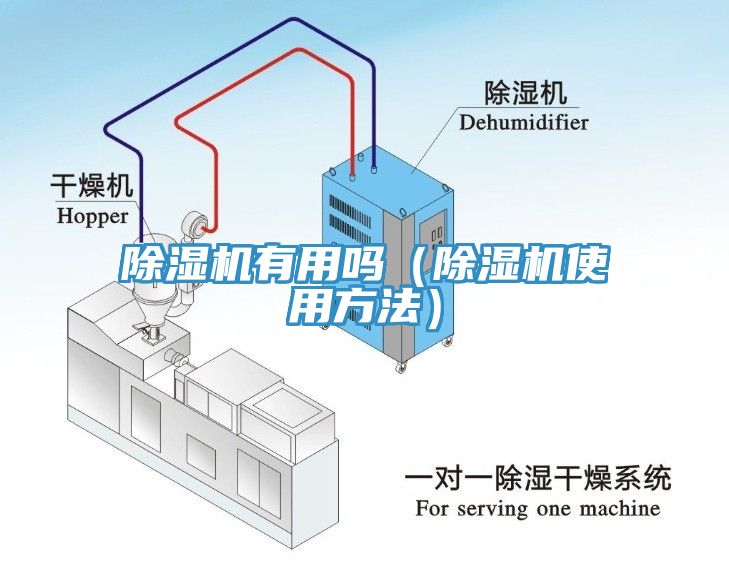 杏仁视频APP成人官方污有用嗎（杏仁视频APP成人官方污使用方法）