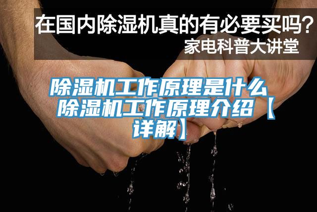 杏仁视频APP成人官方污工作原理是什麽 杏仁视频APP成人官方污工作原理介紹【詳解】