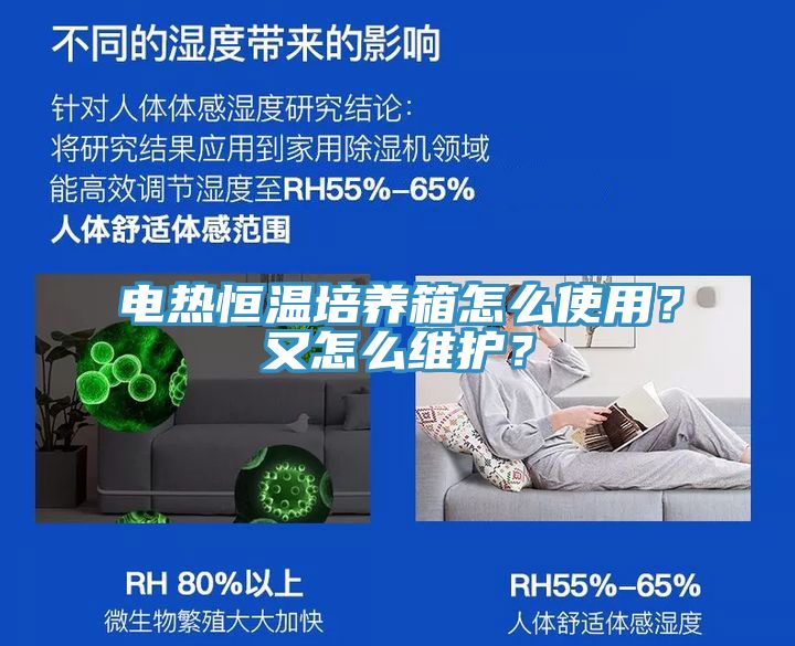 電熱恒溫培養箱怎麽使用？又怎麽維護？