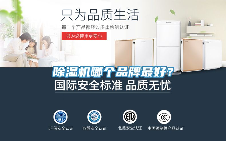 杏仁视频APP成人官方污哪個品牌最好？