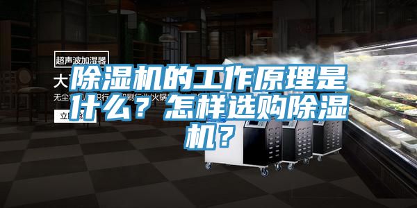 杏仁视频APP成人官方污的工作原理是什麽？怎樣選購杏仁视频APP成人官方污？